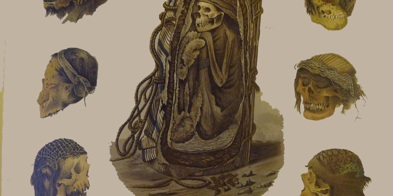 An illustration of mummies from Providence Public Library Special Collections