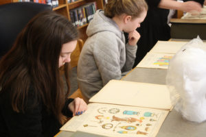 A Teen Squad member looks at historic dress illustrations