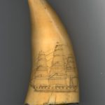 020_decorated_whale_tooth_verso