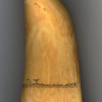 036_decor_whale_tooth_verso