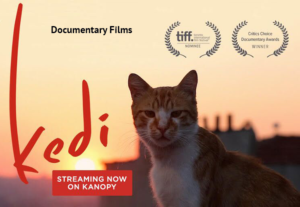 Documentary films at kanopy.com