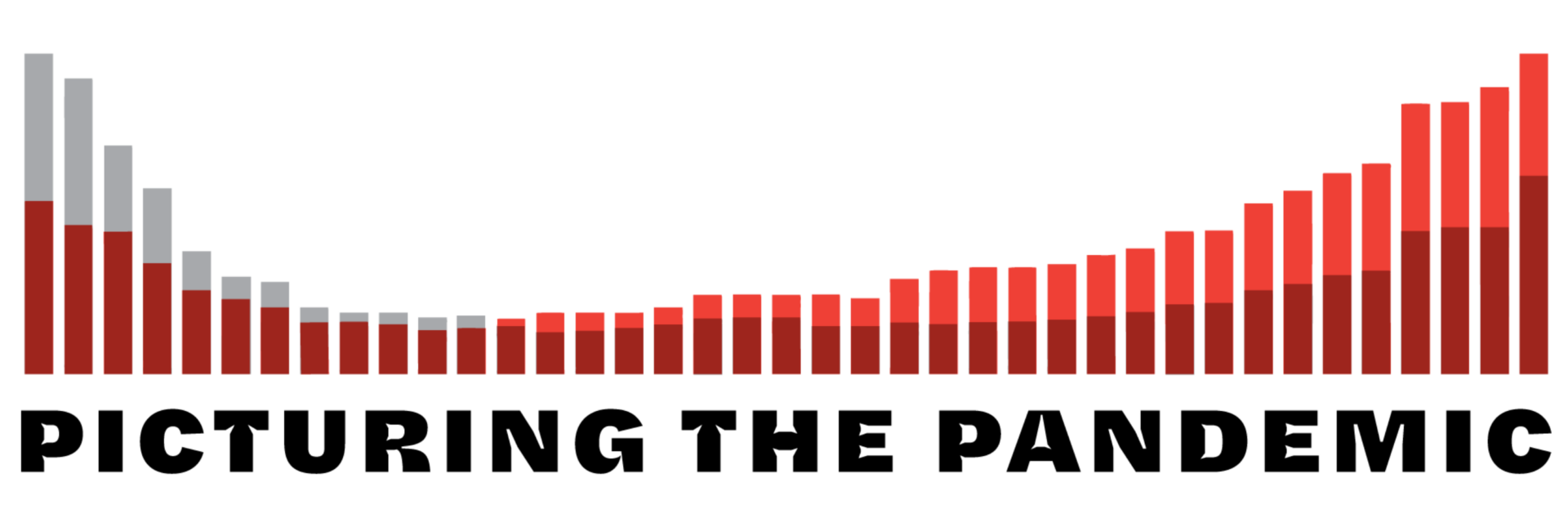 Picturing the Pandamic