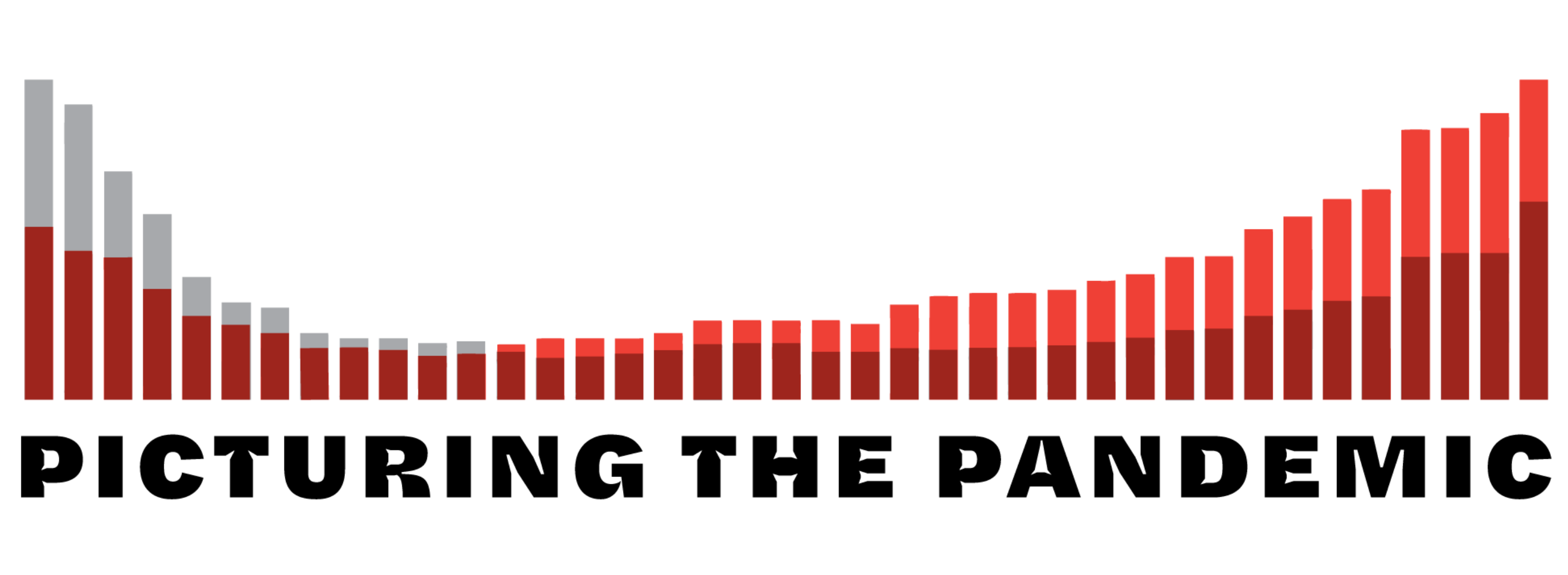 Picturing the Pandamic