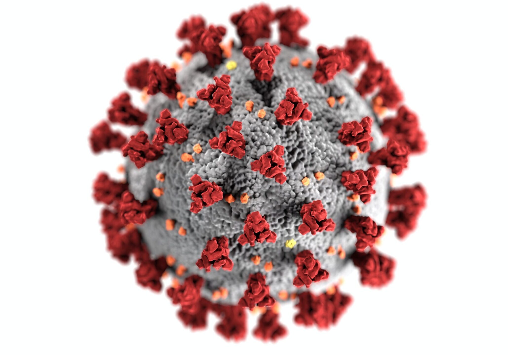 Coronavirus graphic