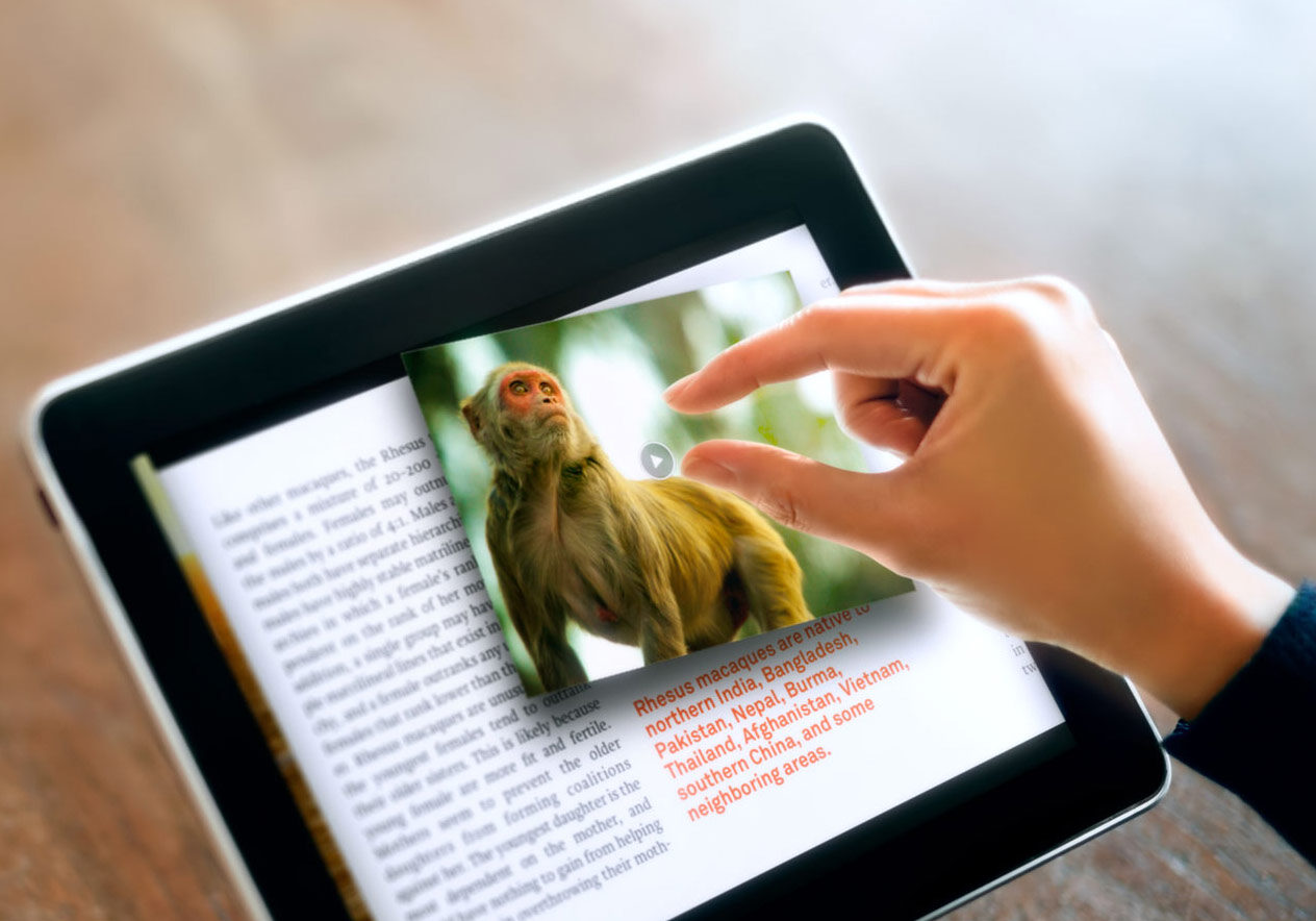 A stock image of a person reading a book on tablet computer