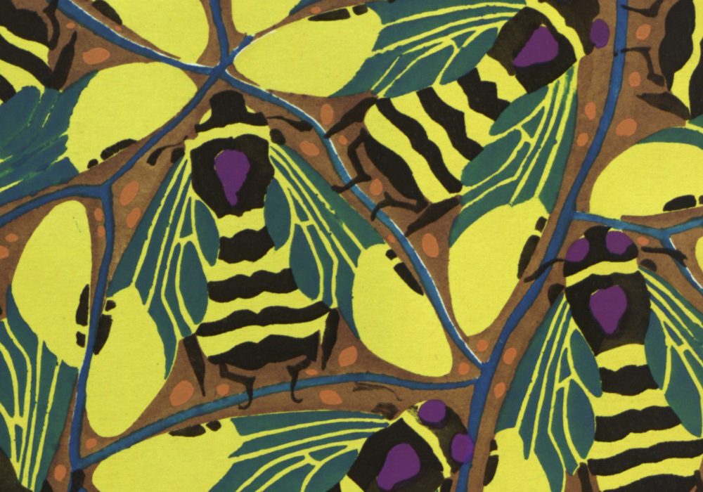 Séguy, E. A. Insectes (Paris: Duchartre et Van Buggenhoudt, 1920-1929?)